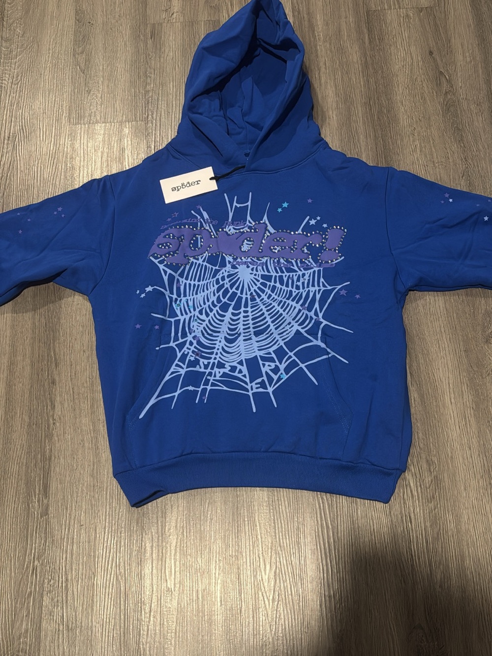 Blue Rhinestone Spider Hoodie